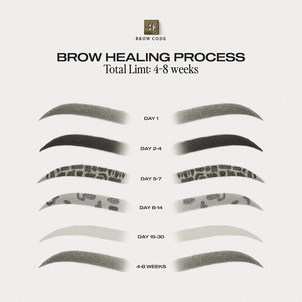 Brow Code x Li Pigments PMU pigment healing process – true to tone results and colour retention stages for permanent makeup brows