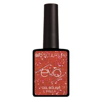 EVO Colour Gel PAULA 12ml