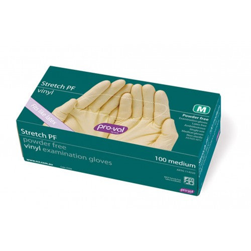 Vinyl Stretch Disposable Gloves 100pk (Powder Free/Latex-Free)