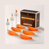 Elleebana Lash Styling Essentials – Rods, Shields & Hybrid Forms