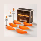Elleebana Lash Styling Essentials – Rods, Shields & Hybrid Forms