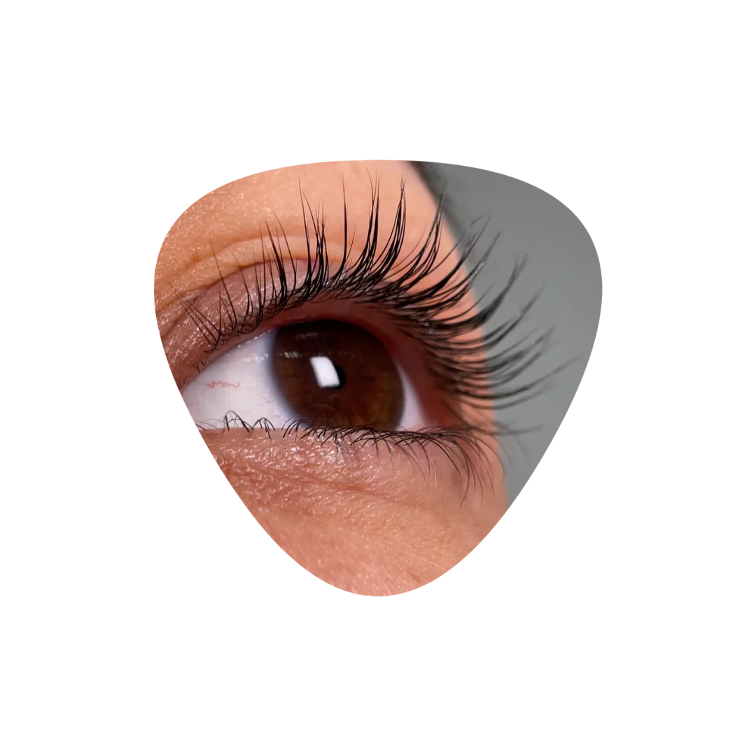 InLei FORMA + FORMA UP Universal Eyelash Shields (4 Pairs)
