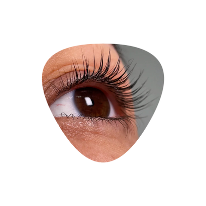 InLei FORMA + FORMA UP Universal Eyelash Shields (4 Pairs)