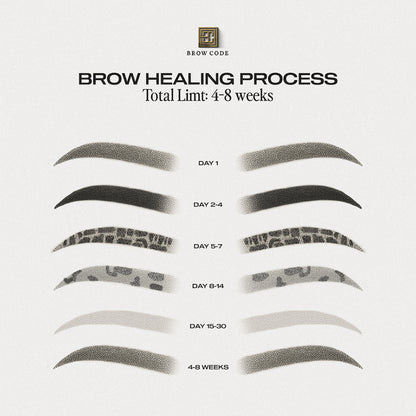 Brow Code x Li Pigments PMU pigment healing process – true to tone results and colour retention stages for permanent makeup brows