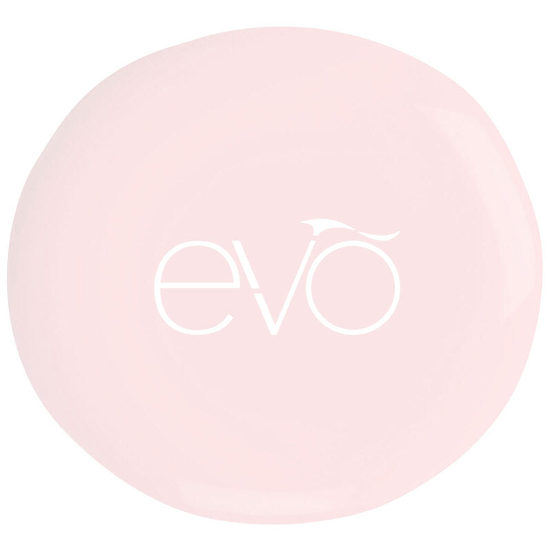 Round pink object with 'evo' logo on a white background