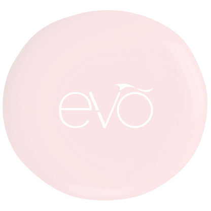Round pink object with 'evo' logo on a white background