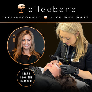 Pre-Recorded Webinar Session - Is Flipping the Lid Affecting My Results?